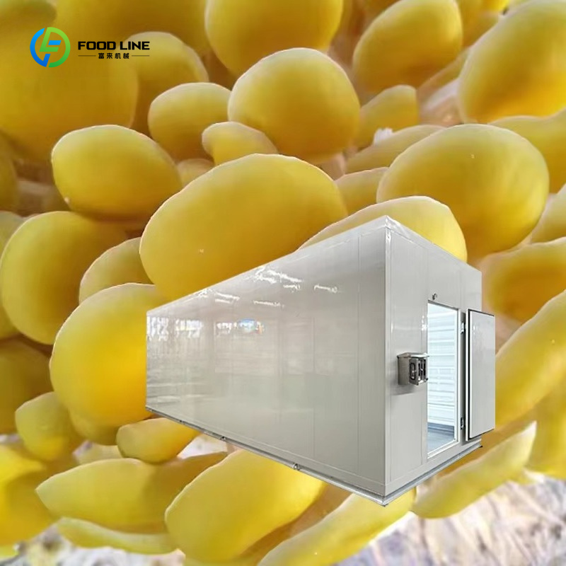 Teknologi Budidaya Jamur Cerda - Smart Farming Technology In Agriculture ulasan dan harga